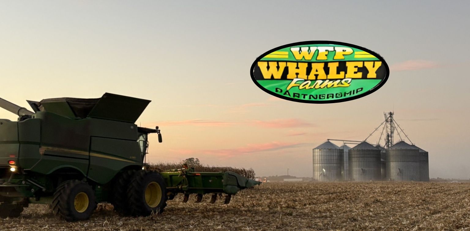 Wide shot of corn field at dusk with combine in foreground and grain elevators in background.