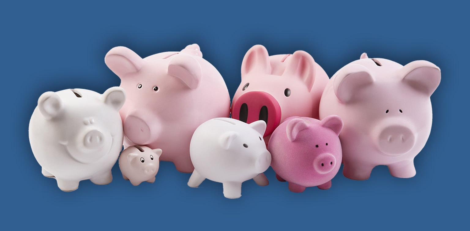 Collection of pink and white piggy banks of varying sizes.