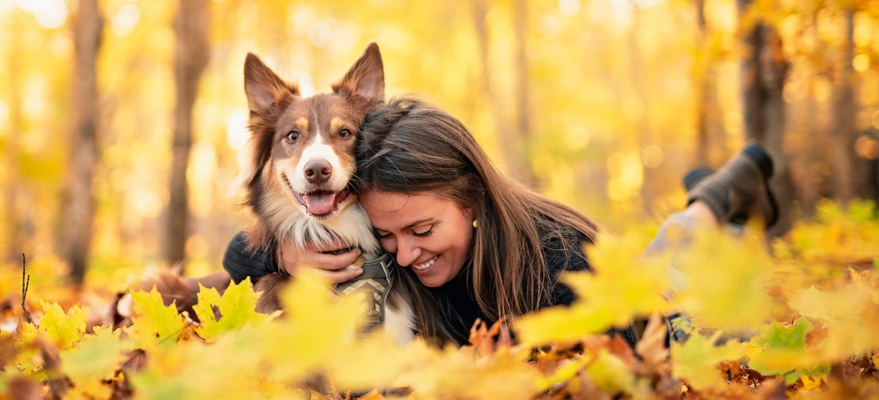 A festive fall landscape with leaves that have changed color and a woman laying in them and hugging her dog.