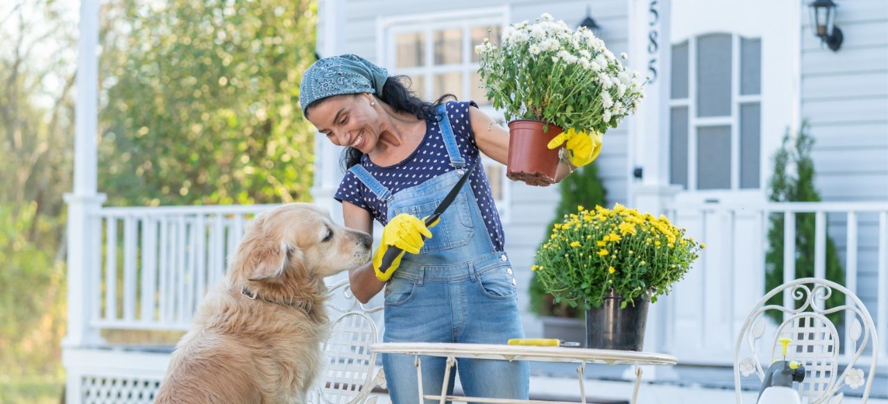 A woman gardening with a gracefully aging golden retriever